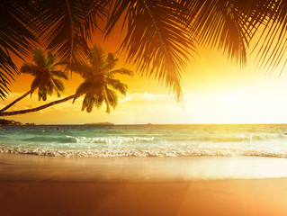 sunset on the beach of caribbean sea