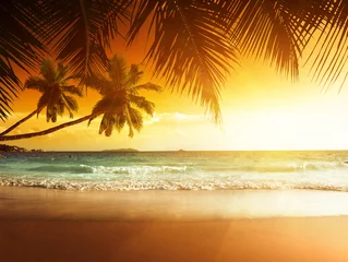 Foto auf Acrylglas Sonnenuntergang am Strand der Karibik © Iakov Kalinin