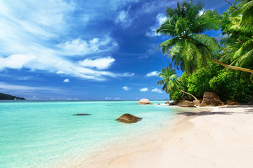 beach on Mahe island, Seychelles