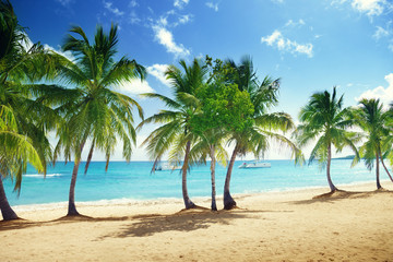 Obraz na płótnie Canvas beach of Catalina island in Dominican republic