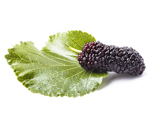 Mulberry berry