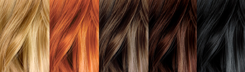 Hair Color Samples