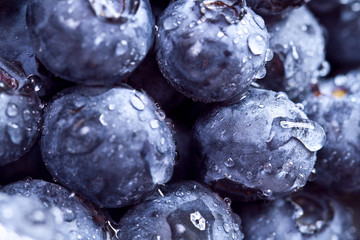 Freshly picked blueberries