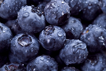 Freshly picked blueberries