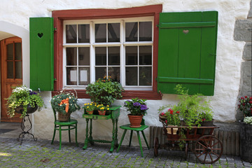 rustic window with green shutters and flower pots