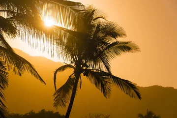 Foto op Canvas Palm Tree Silhouettes © jkraft5