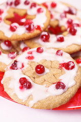 shortbread_cranberries_2