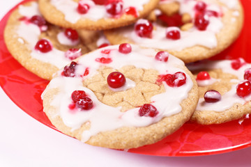 shortbread_cranberries_3