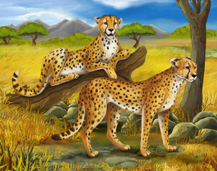 Safari - cheetah - illustration for the children