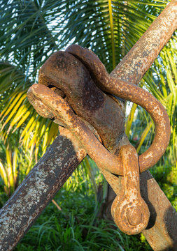 Rusty chain links on large anchor in garden
