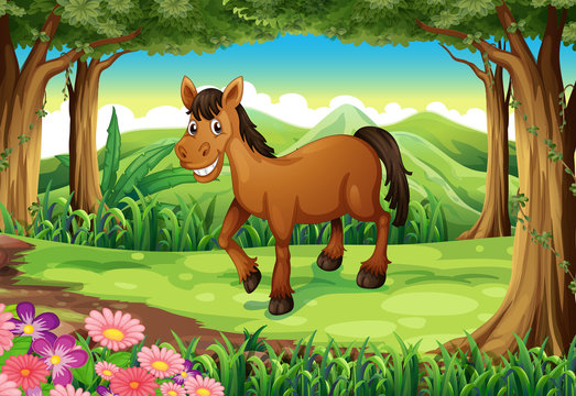 A smiling brown horse at the forest