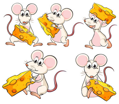 A group of mice carrying slices of cheese