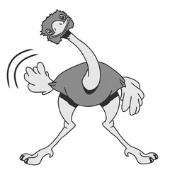 Lustig Emu Strauss süss witzig Cool