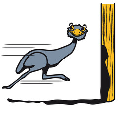 Lustig Emu Strauss rennen witzig comic Cool