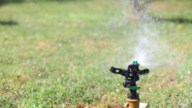 Automatic watering lawn