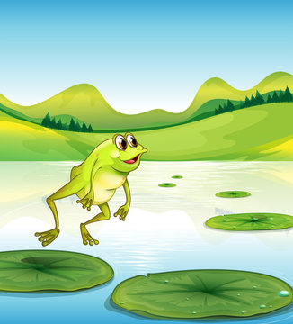 A pond with a frog jumping