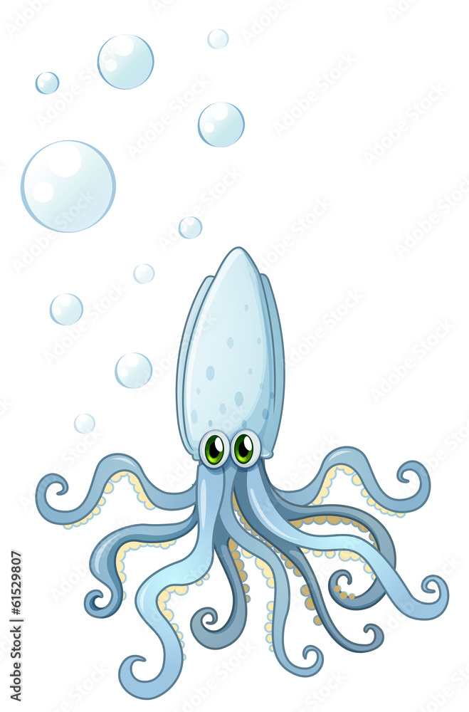 Poster a squid with green eyes