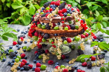 Cake wild fresh berry fruits in forest
