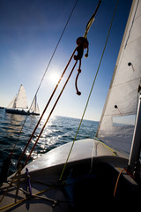sailing Regatta