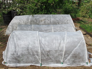 Spunbond hotbeds for vegetable seedlings against night frost 