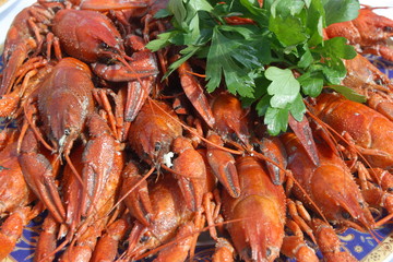 Boilde crayfishes with greenery on a plate