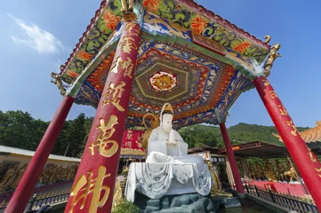 Fotobehang Buddha Statue in Ten Thousand Buddhas Monastery in Hong Kong © leeyiutung