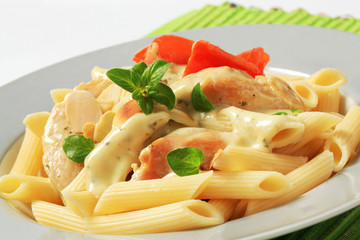 Pasta, chicken meat and cream sauce