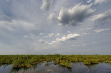 Fototapeta premium Bootsfahrt im Okavango Delta, Botswana