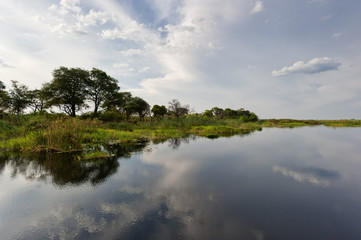 Fototapeta na wymiar Bootsfahrt im Okavango Delta, Botswana
