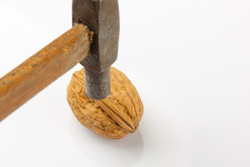 walnut with hammer on white background