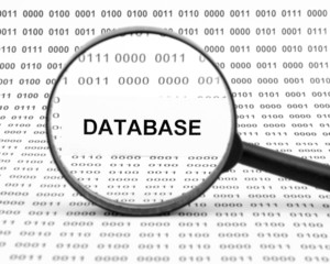 Database