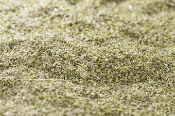 Oregano Background