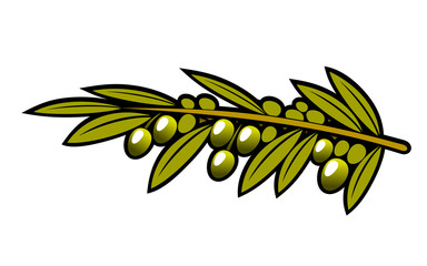 Olives hanging on a leafy branch