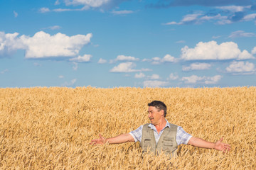 Naklejka na ściany i meble Happy smiling caucasian old farmer standing in wheat fields