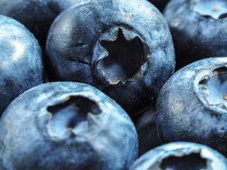 Blueberry Background