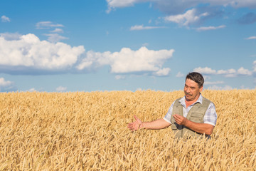 Naklejka na ściany i meble Happy smiling caucasian old farmer standing in wheat fields
