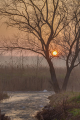 Misty morning on the river in early spring