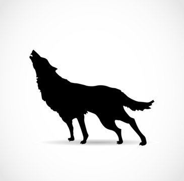 Wolf howling vector