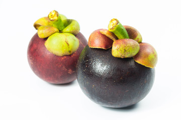 Mangosteen