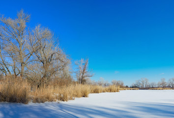 winter landscape on the lake