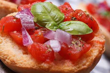 Italian bruschetta with tomato, onion and basil macro