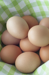 Pile of Eggs in Gingham