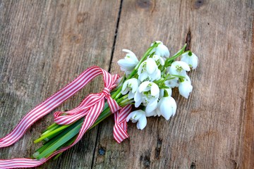 Schneeglöckchen Blumenstrauß