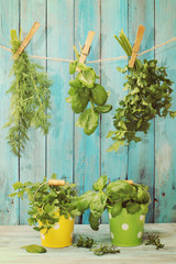 Assorted hanging Herbs on an old and vintage wooden blue