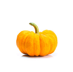 Miniature orange pumpkin on white