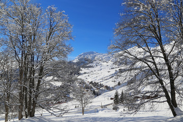 Grand Bornand - Montagne