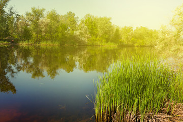 Obraz premium summer river