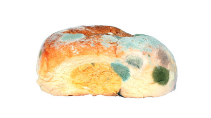 Faules Br&ouml;tchen