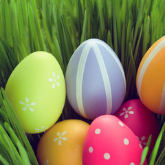 easter eggs in grass