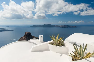 Crédence de cuisine en verre imprimé Santorin Rooftop plants on house in Santorini Greece